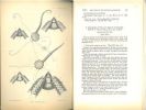 Descriptions of four new species of Ophiurids.. Bell, F. Jeffrey