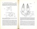The comparative endocrinology of the invertebrates.. Highnam, K.C. & L. Hill