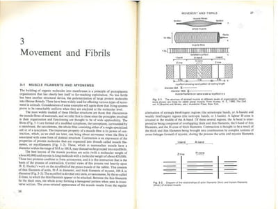 Invertebrate structure and function.