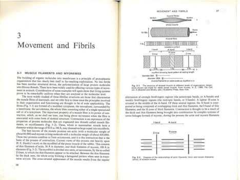 Invertebrate structure and function.. Barrington, E.J.W..