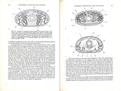 Invertebrate structure and function.