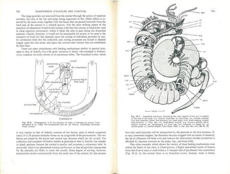 Invertebrate structure and function.. Barrington, E.J.W..