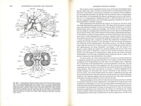 Invertebrate structure and function.. Barrington, E.J.W..
