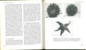The biology of invertebrates.. Gardiner, Mary S.