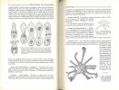 Zoologie. Vol. I. Invertébrés.. Grasse, P.P. (ed.)