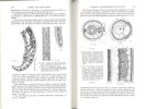 Traité de zoologie. Anatomie, systématique, biologie. Tome IV. Némathelminythes (Nématodes). Fascicule II.. Grasse, Pierre-Paul (ed.)