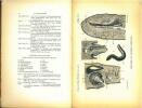 Voyage de Ch. Alluaud et R. Jeannel en Afrique orientale (1911-1912). R&eacute;sultats scientifiques. Turbellari&eacute;s, Tr&eacute;matodes et Gordiac&eacute;s.. Beauchamp, P. ...