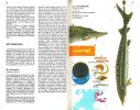 Guide des poissons de mer et pêche.. Muus, B.J. & P. Dahlström