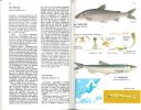 Guide des poissons d'eau douce et pêche.. Muus, B. J. & P. Dahlström