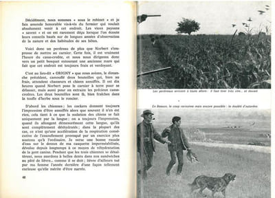 Chasse et gibier de Beauce.