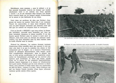 Chasse et gibier de Beauce.. Beaur, R.