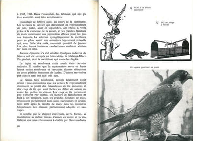Chasse et gibier de Beauce.