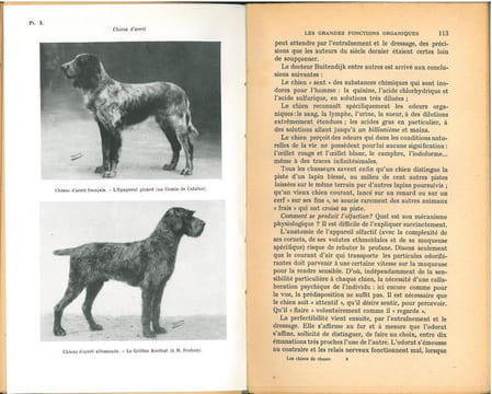 Les chiens de chasse, historique, races et origines, anatomie, physiologie, élevage, psychologie, dressage, cynotechnie.. Mery, F.