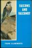 Falcons and falconry.. Illingworth, Frank