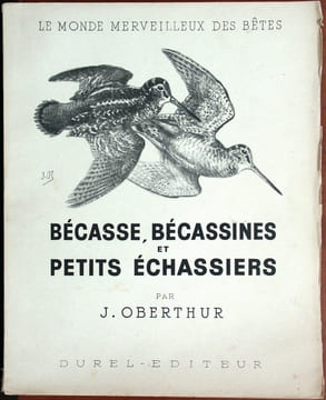 Bécasses, bécassines et petits échassiers.. Oberthur, Joseph