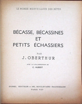 Bécasses, bécassines et petits échassiers.. Oberthur, Joseph