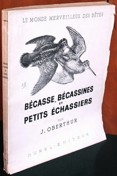 Bécasses, bécassines et petits échassiers.. Oberthur, Joseph