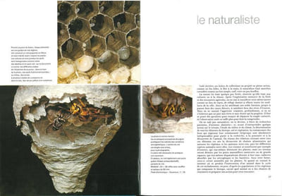 La chasse photographique.