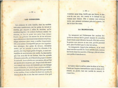 Les animaux industrieux.
