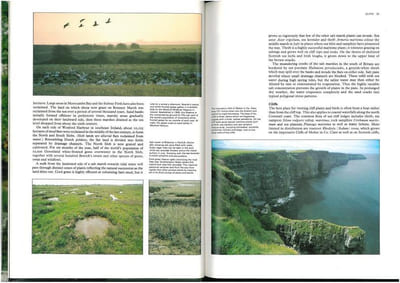 The natural history of Britain and Ireland.