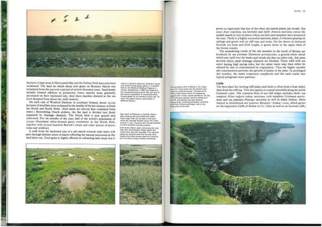 The natural history of Britain and Ireland.. Angel, Heather et al.