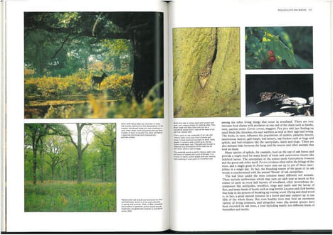 The natural history of Britain and Ireland.. Angel, Heather et al.