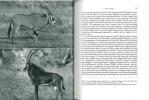 Natural history photography.. Turner, Ettlinger D.M.