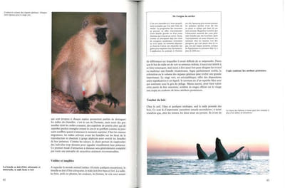 Histoires insolites de la reproduction.