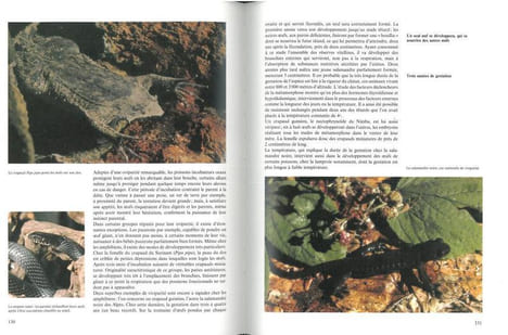 Histoires insolites de la reproduction.. Balouet, Jean-Christophe