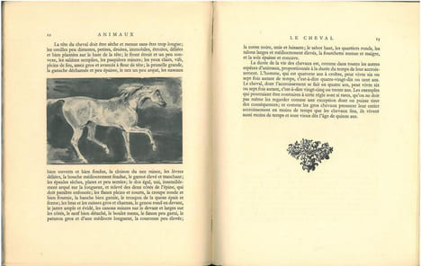 Animaux.. Buffon, M. de