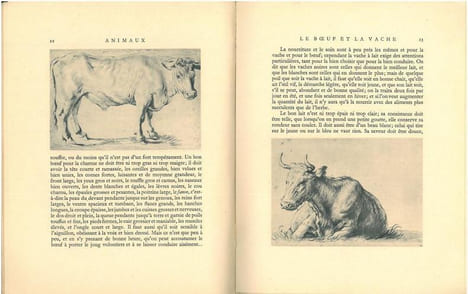 Animaux.. Buffon, M. de