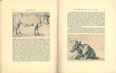 Animaux.