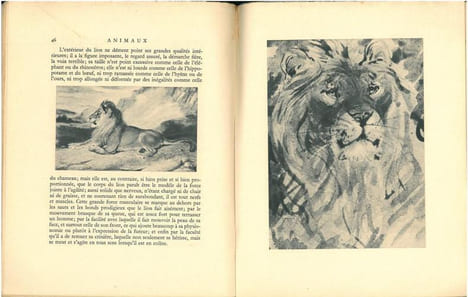 Animaux.. Buffon, M. de