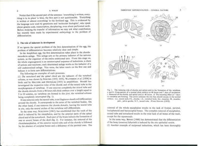 Cell differentiation and morphogenesis.