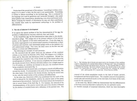 Cell differentiation and morphogenesis.. Beermann, W. et al.