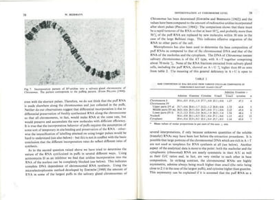 Cell differentiation and morphogenesis.