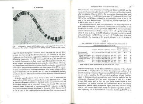 Cell differentiation and morphogenesis.. Beermann, W. et al.