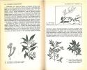 Guide du naturaliste dans le Midi de la France. Vol. 2. La guarrigue, le maquis, les cultures.. Harant, H. & D. Jarry
