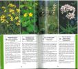 Guide de la forêt, le milieu, la flore et la faune, 500 espèces des forêts d'Europe.. Dreyer, E.-M & W. Dreyer