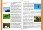 Guide des espèces protégées en Bourgogne.. Collectif,