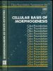 Cellular basis of morphogenesis.. Collectif,
