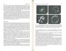 Cellular basis of morphogenesis.. Collectif,