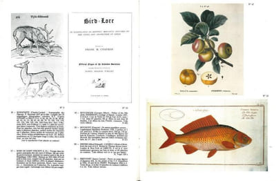 Livres. Histoire naturelle, poissons, oiseaux, botanique, voyages, atlas.