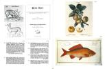 Livres. Histoire naturelle, poissons, oiseaux, botanique, voyages, atlas.. Anonyme,