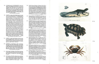 Livres. Histoire naturelle, poissons, oiseaux, botanique, voyages, atlas.