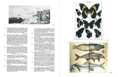 Livres. Histoire naturelle, poissons, oiseaux, botanique, voyages, atlas.. Anonyme,