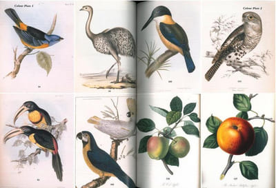 Travel, natural history and science books, maps and atlases.