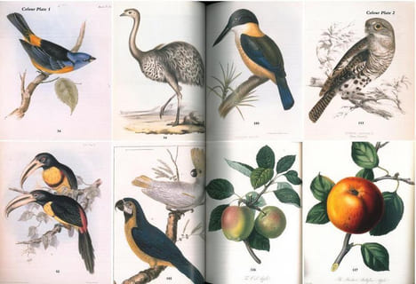 Travel, natural history and science books, maps and atlases.. Anonyme,, [Christie’s]