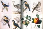Travel, natural history and science books, maps and atlases.. Christieâs,