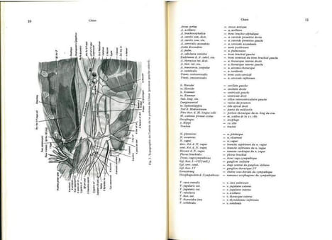 Les animaux de laboratoire (précis).. Hoffmann, G. et al.
